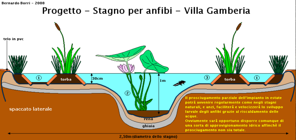 vorrei fare uno stagno ma...
